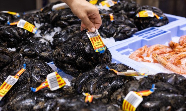 Mercadona compra más de 210 toneladas de clóchina valenciana en 2024