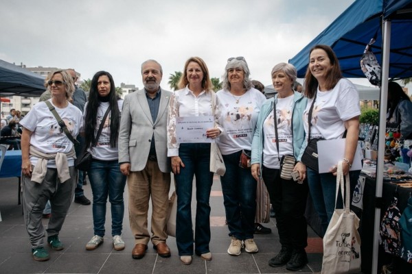 Castelló acoge la primera jornada del XI Festival de la Adopción con el desfile de perros o exhibiciones