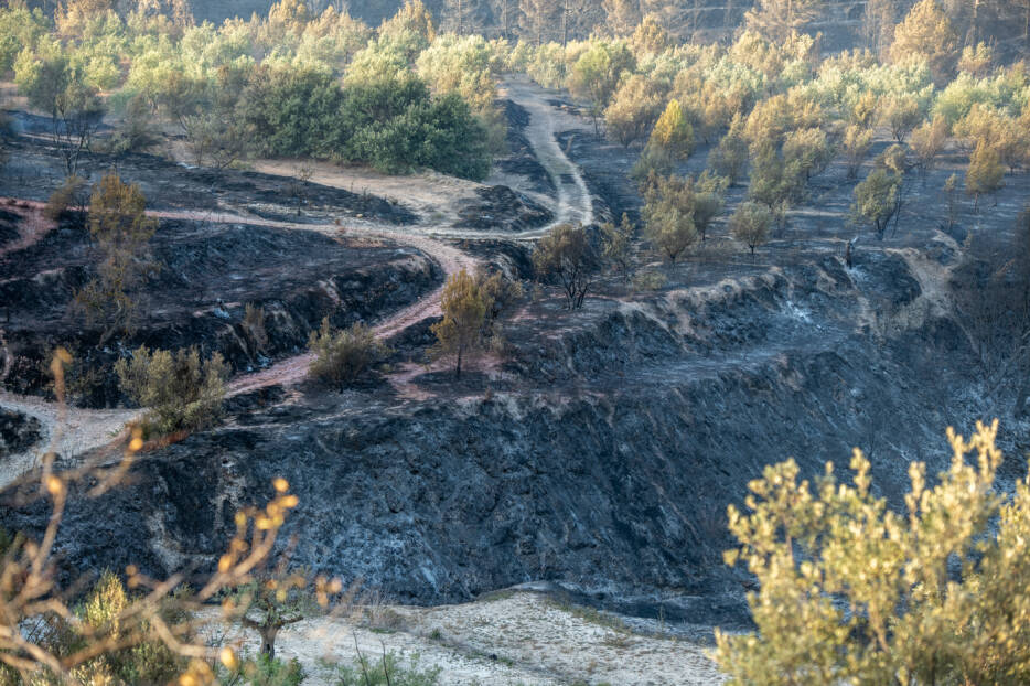 Foto RAFA MOLINA  - 