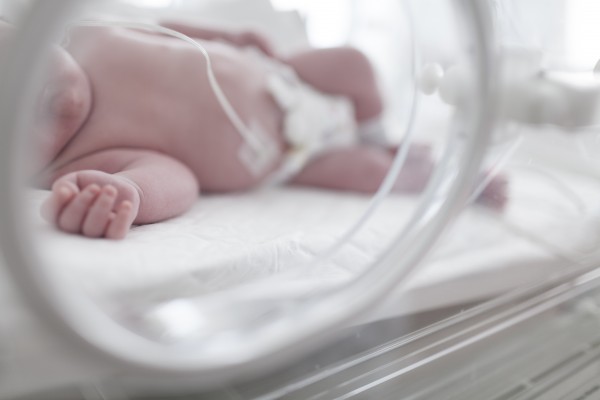 La lactancia materna inmuniza al bebé y disminuye el riesgo de cáncer de mama en la madre

