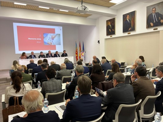 Morata reivindica el papel de Cámara Valencia en el último pleno antes de elecciones