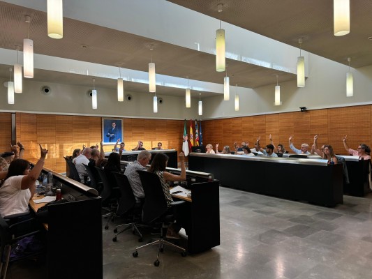 San Vicente aprueba la ordenanza para garantizar la prestación del servicio 'Majors a casa' 