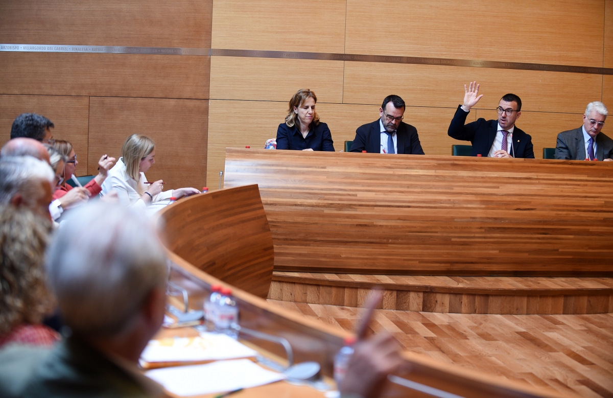 Pleno de la Diputación de València.