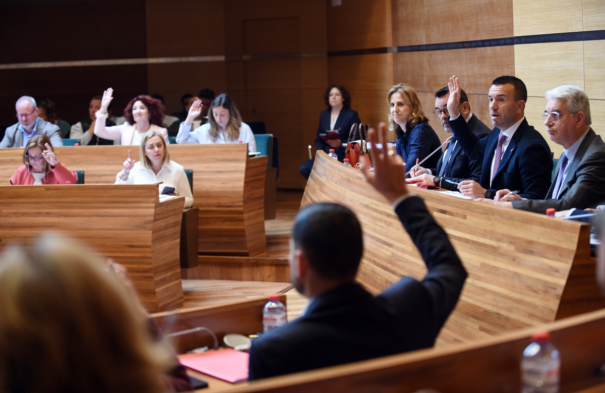 Pleno de la Diputación de València.