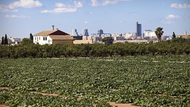 El pleno del Ayuntamiento de València debatirá este jueves la adaptación del PGOU al Plan de la Huerta