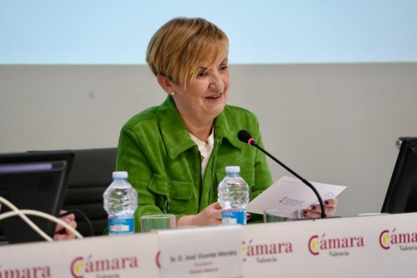 Cano pide a Hereu convocar con urgencia la conferencia sectorial tras la sentencia del TS sobre viviendas turísticas