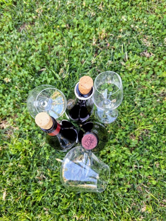 Tu Sommelier, el proyecto de Guillaume Glories que quiere acercar el vino al día a día