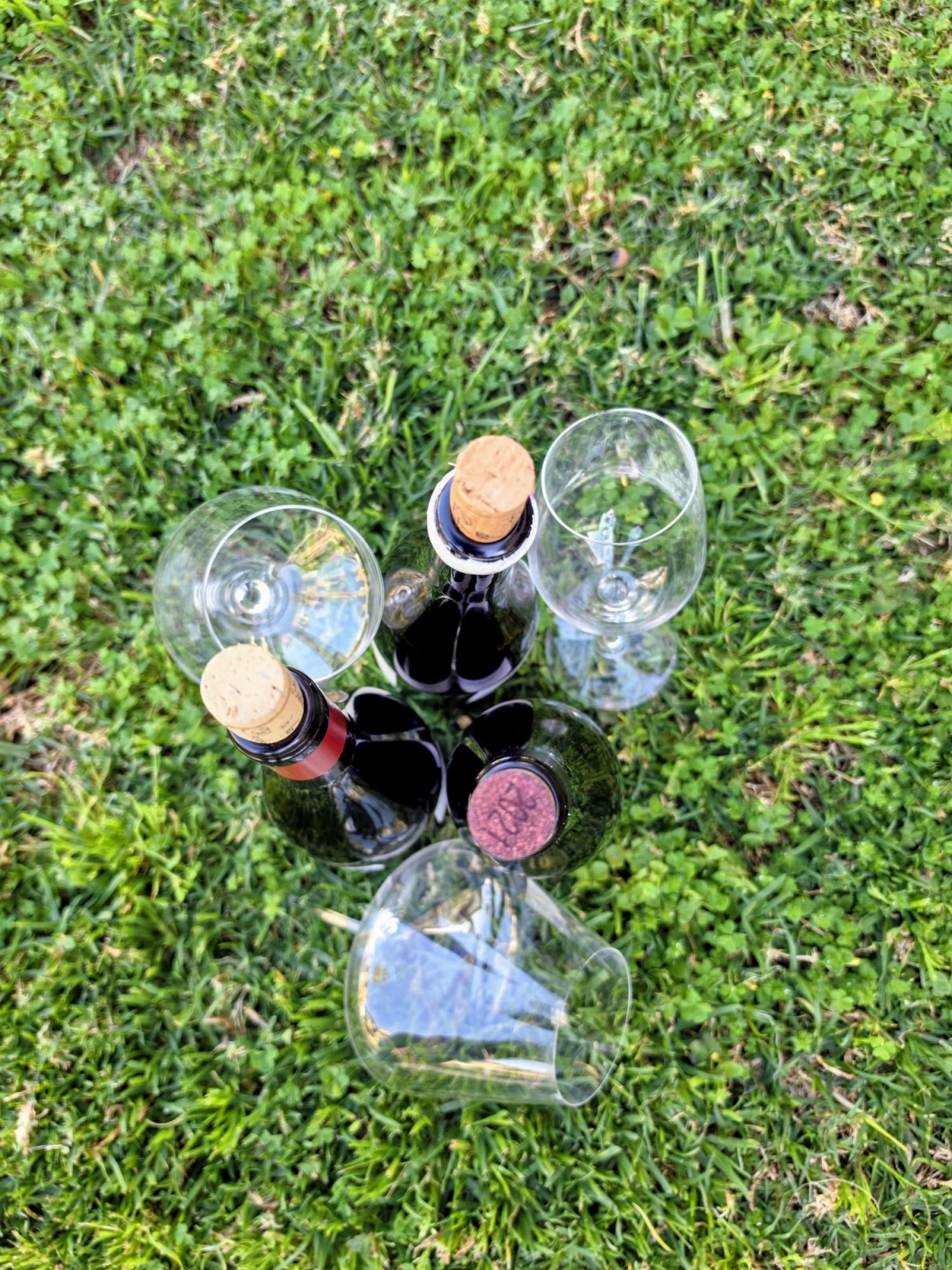 Tu Sommelier, el proyecto de Guillaume Glories que quiere acercar el vino al día a día