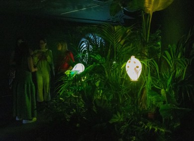Los museos de València celebran la Gran Nit de Juliol con visitas comentadas y actividades paralelas