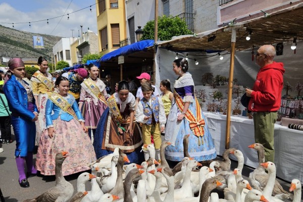 Oropesa prepara la celebración de su emblemática Trobà: amplía el espacio para casetas a la plaza Mayor