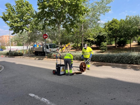 La Vall d'Uixo intensificará el control de roedores e insectos