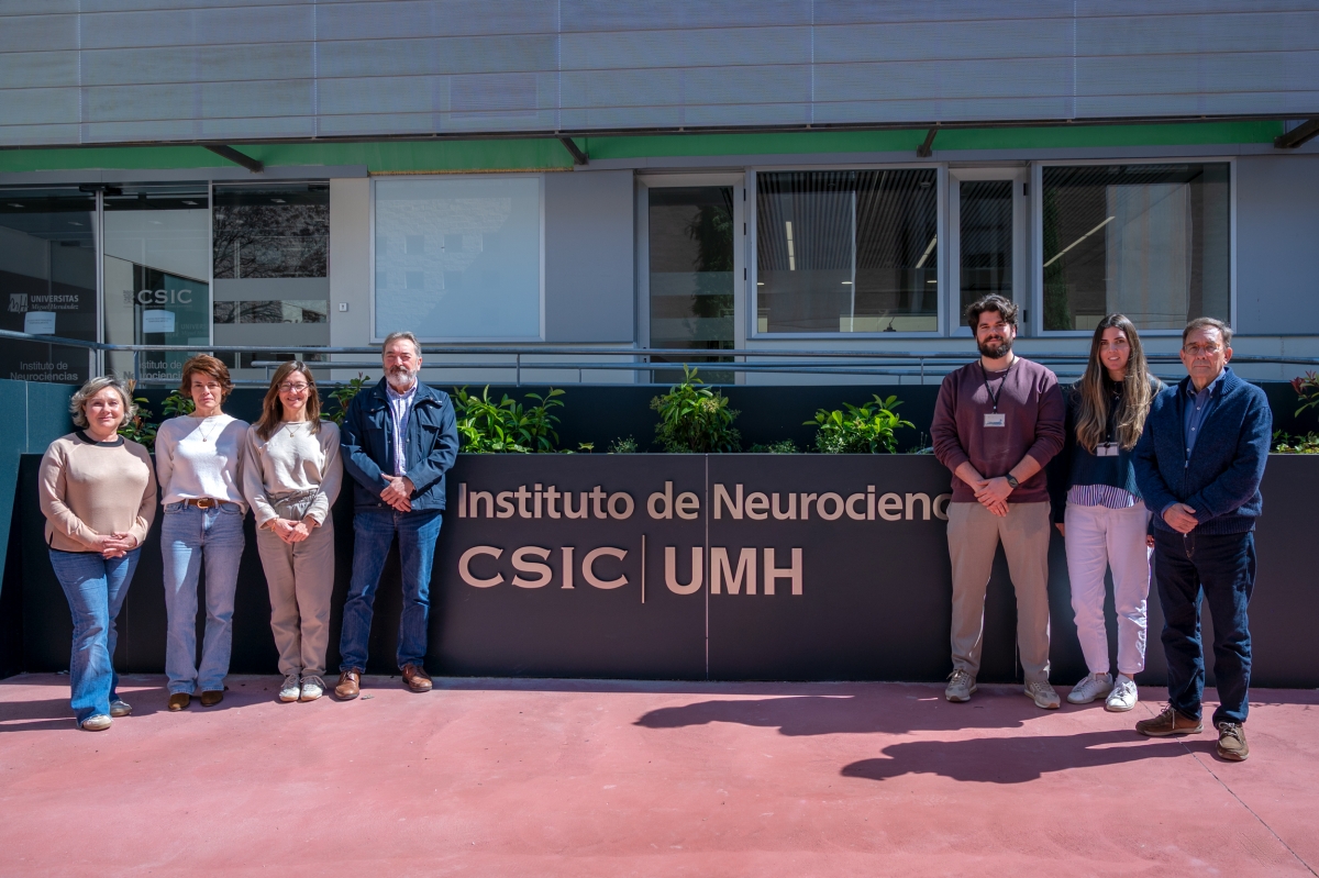 Neurociencias UMH-CSIC identifica una posible diana terapéutica para frenar el avance de la ELA