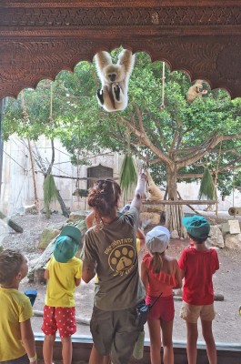 Terra Natura Benidorm y Aqua Natura Benidorm abren el plazo de inscripción para su Escuela de Verano 2026