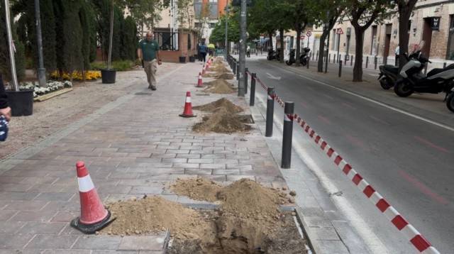 La calle Burruezo de Murcia estrena un corredor verde con nuevos alcorques y arbolado 