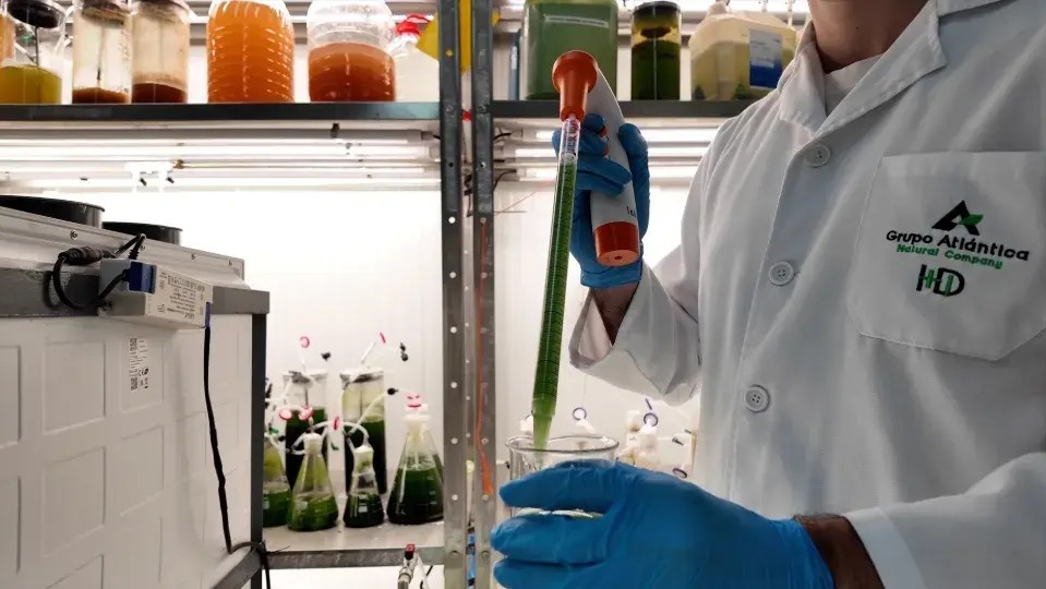 Ivace+i apoya el desarrollo de bioestimulantes basados en microalgas capaces de sobrevivir en condiciones extremas