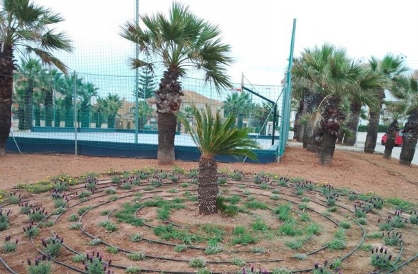 El Ayuntamiento de Cartagena planta especies autóctonas en la plaza Galeota de Cabo de Palos