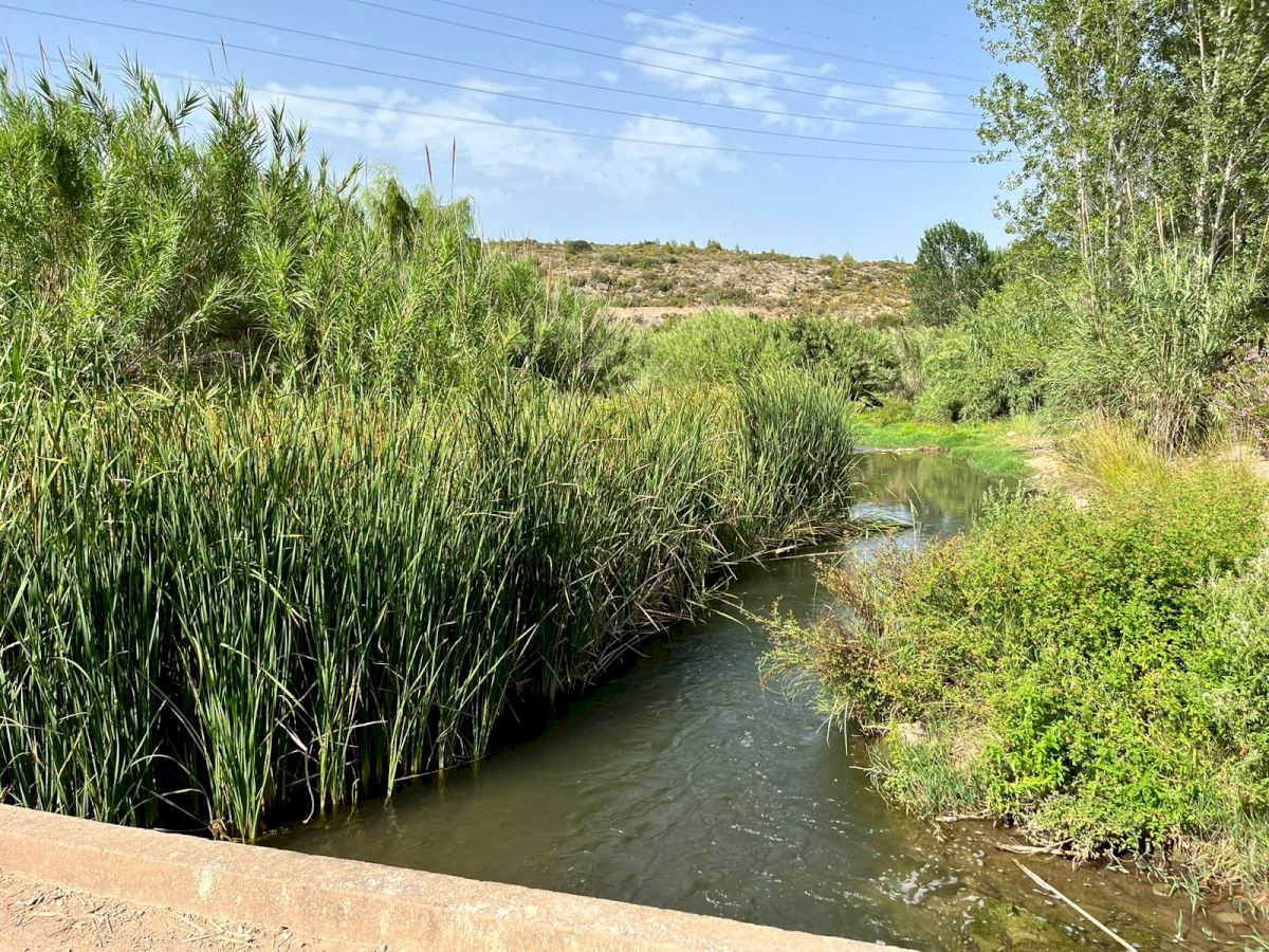 AVA-Asaja reclama medidas hídricas ante las nuevas restricciones de riego en el Alto Palancia
