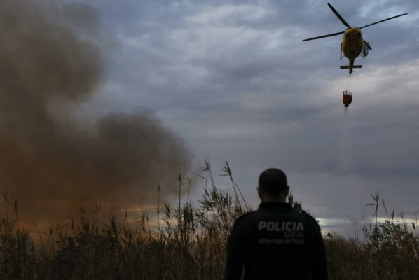Los incendios forestales arrasan más de 26.000 hectáreas este año, un 59% menos que en 2023