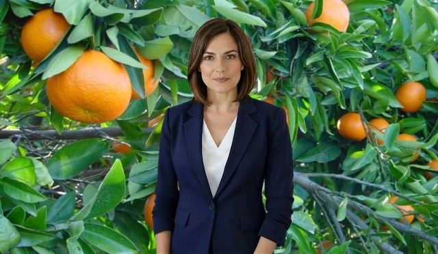 Sof-IA en 1 minuto: El cítrico se estanca y frena la exportación agro de Castellón