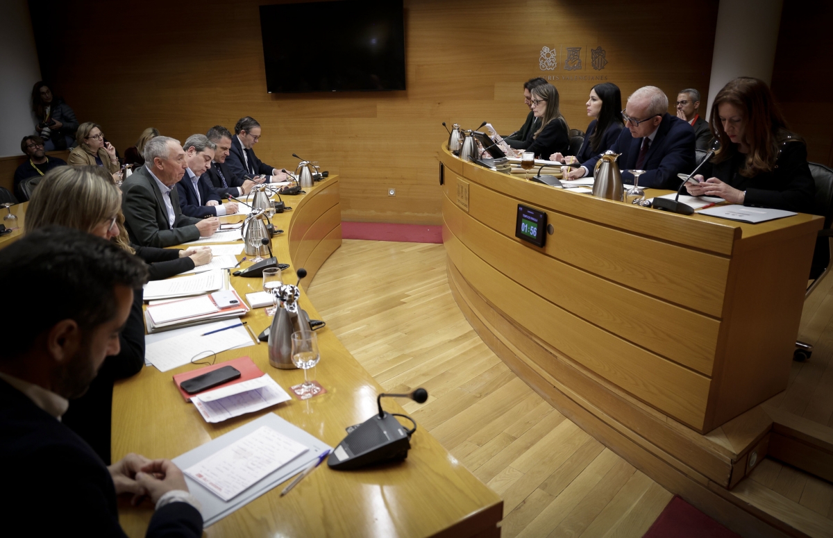 PP y Vox dan 'carpetazo' a la comisión de la Dana en Les Corts con una última ronda de comparecencias