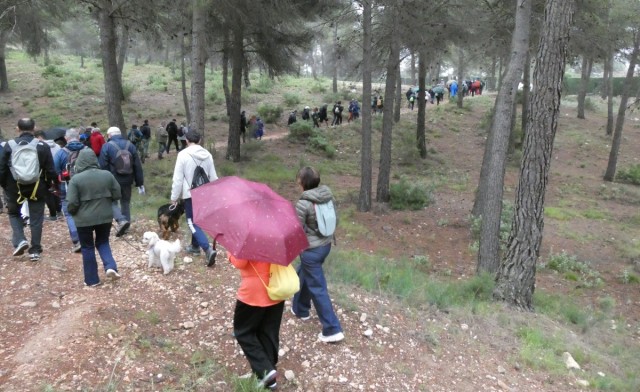 Más de cien personas piden proteger la Rambla de la Gavarnera de Ibi ante el proyecto de Parque Empresarial Alcoi Sud