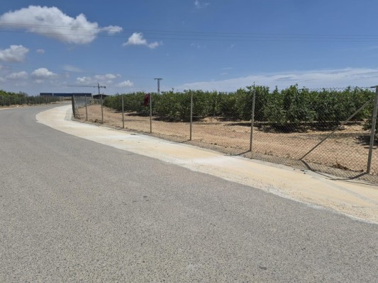 Murcia pone a punto los caminos de Jerónimo y Avileses tras reparar los daños causados por el agua