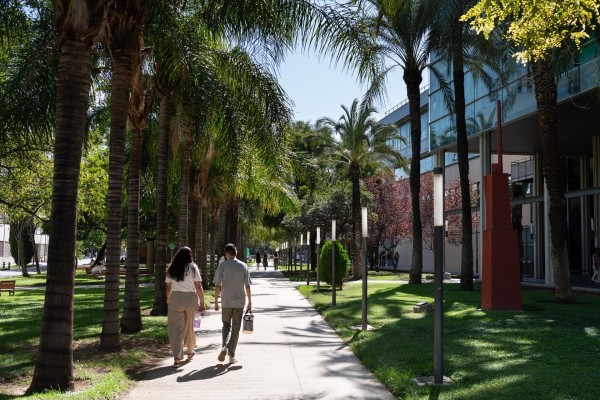 La UPV aprueba una oferta de empleo público con 96 plazas de PTGAS y 159 de promoción para el PDI