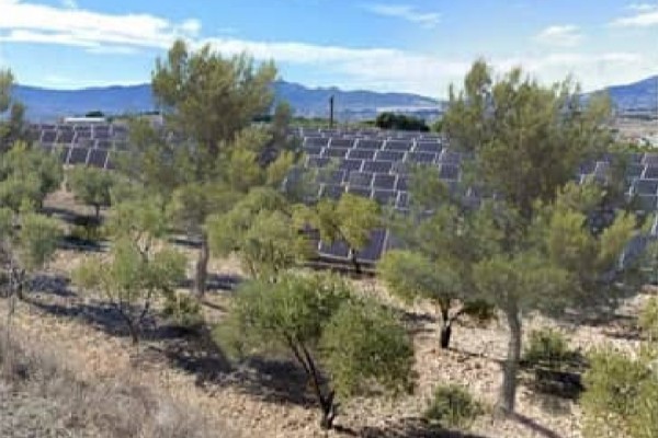 La Generalitat autoriza la planta solar Kenerjona I en Castalla: 40,8 MW y un presupuesto de 21,5 millones