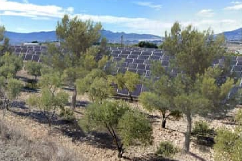 La Generalitat autoriza la planta solar Kenerjona I en Castalla: 40,8 MW y un presupuesto de 21,5 millones