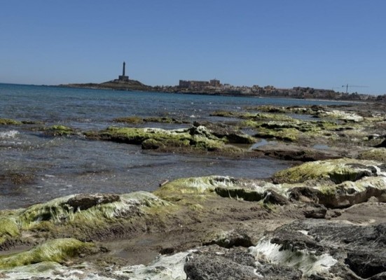 Cuestionan las cifras de reutilización de agua en Cartagena y alertan de eutrofización en Cala Reona