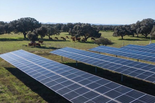 La planta fotovoltaica Torrent Energy 4 de 48,80 MW, ubicada en Turís, sale a información pública