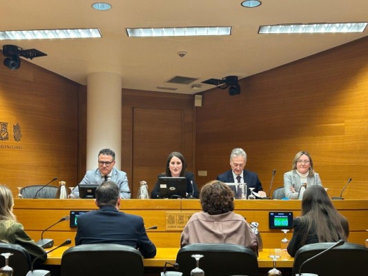 PP y Vox retrasan la votación del plan de trabajo de la comisión de las VPP en Les Corts para acordar uno conjunto