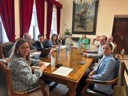 Castelló avala una ayuda de 100.000 euros a Adepla para el Festival del Viento con más de 150 actividades