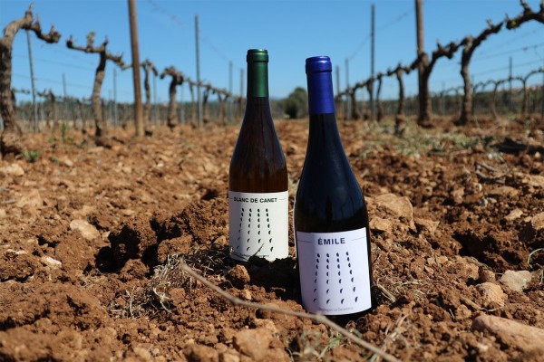 El Baix Maestrat, tierra de promesas