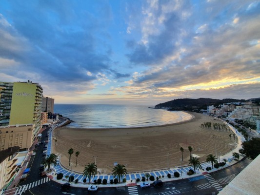 Oropesa del Mar renueva el distintivo de Bandera Azul en el Club Náutico y cuatro de sus playas