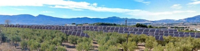 El Consell da luz verde a la cuarta planta solar en la Foia de Castalla: autoriza Kenerjona II en Ibi con otros 40,8 MW