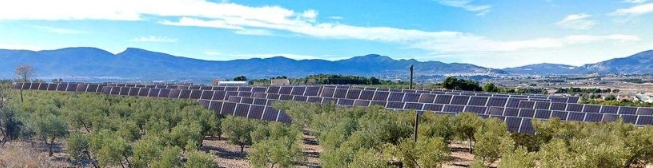 El Consell da luz verde a la cuarta planta solar en la Foia de Castalla: autoriza Kenerjona II en Ibi con otros 40,8 MW