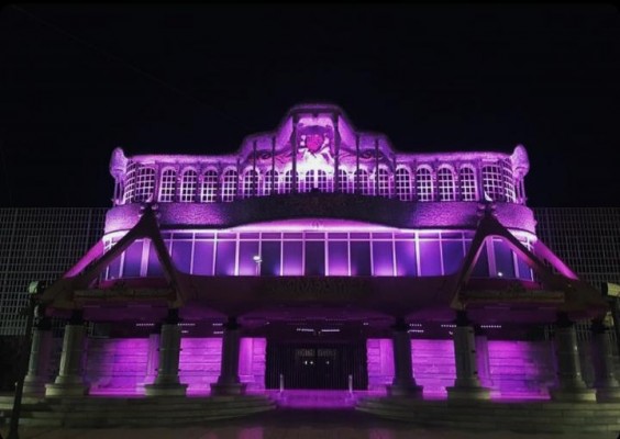 La Asamblea Regional se ilumina de morado por el Día Mundial del Lupus