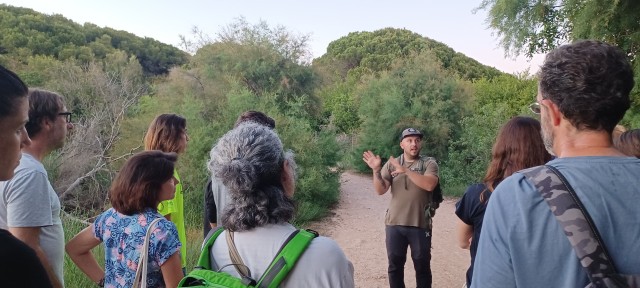 Las actividades nocturnas del Clot de Galvany de Elche para el verano agotan todas sus plazas