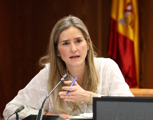 Aagesen aplaza su comparecencia en la comisión del Senado sobre la Dana por motivos personales y acudirá el 19 de mayo