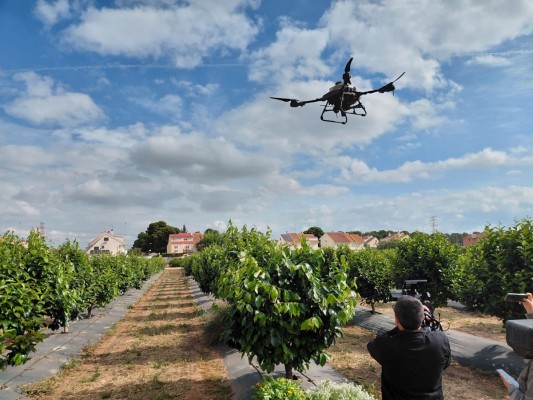 Drones para detectar plagas, hierbas para combatirlas o abono IA: el agro de precisión se luce en Paiporta