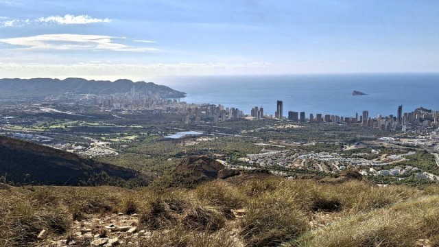El Consell autoriza la contratación de las futuras concesiones de autobús València-Benidorm y Torrevieja-Alicante