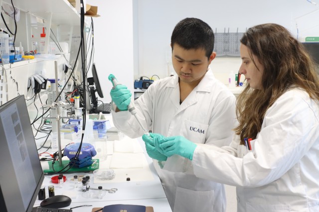 Investigadores crean en Murcia un sensor para medir la insuficiencia de oxígeno en pacientes
