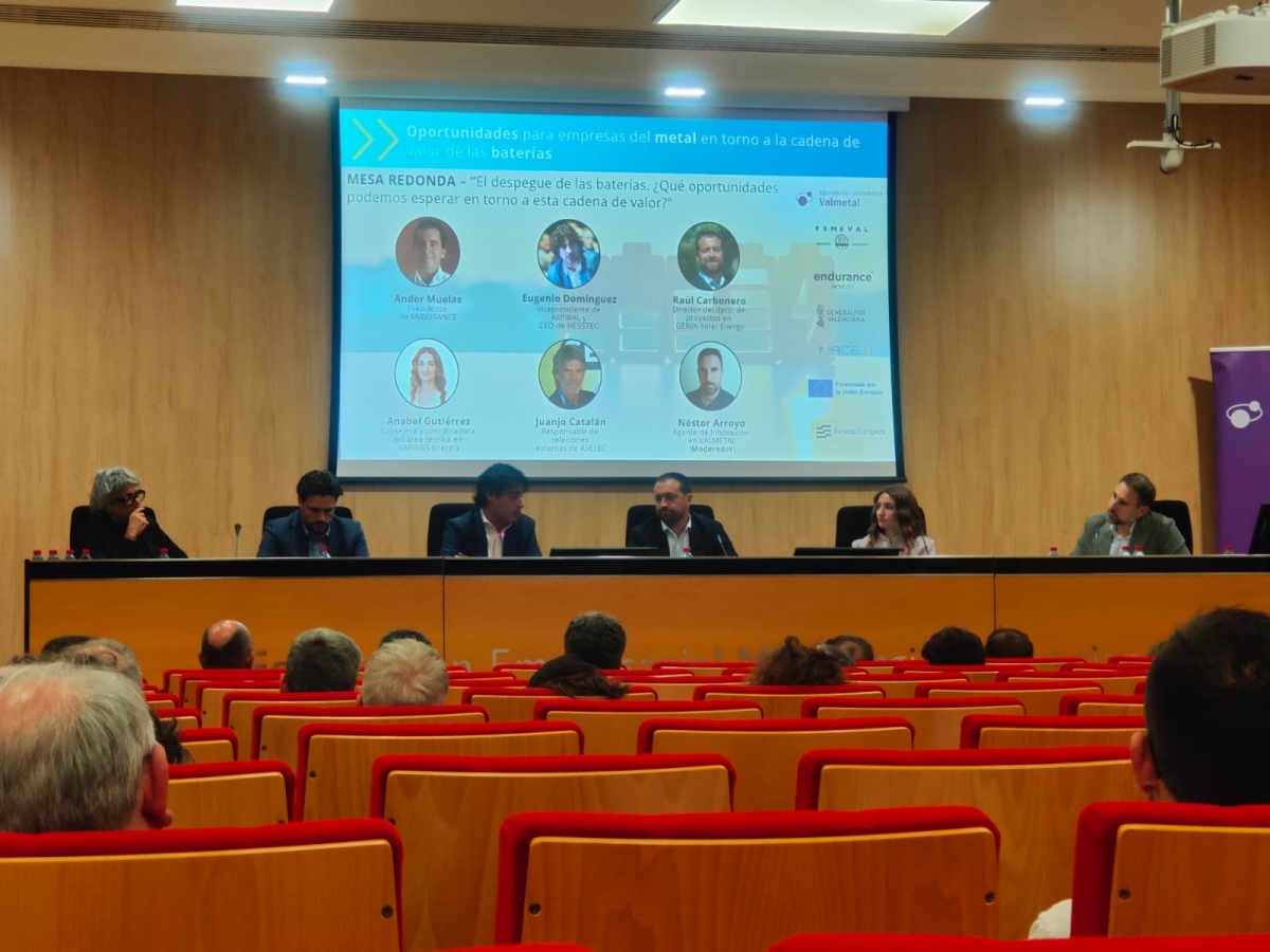 Las renovables advierten de que parte de las ayudas del PERTE para baterías van a tecnología china
