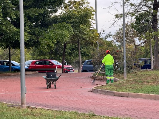 El PSOE de Alicante acusa a Barcala de dejar sin cobrar a una empresa social con trabajadores con discapacidad