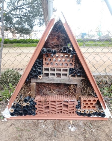 Abejas, mariposas, escarabajos y mariquitas: los Huertos de Ocio de Murcia estrenan 13 hoteles de Insectos