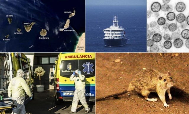 El Instituto Coordenadas alerta del riesgo de “colapso reputacional” para Canarias si se prolonga la crisis del crucero MV Hondius