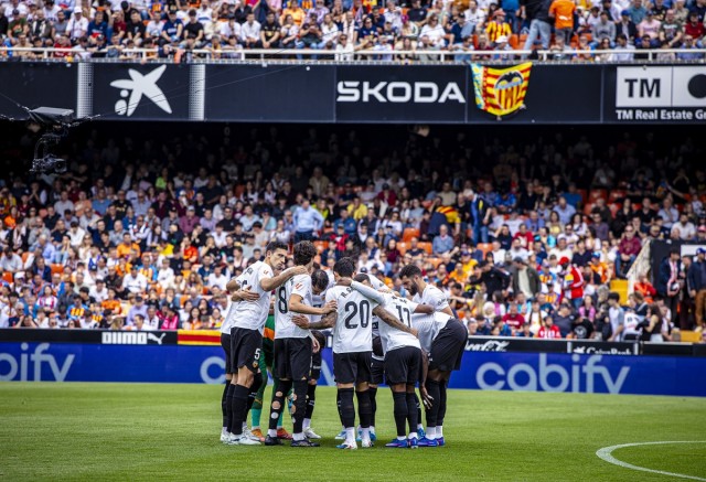 ¡A los leones!
