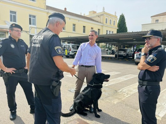 La Policía Local de Castelló intensifica la vigilancia antidroga en los entornos escolares con la Unidad Canina y los Agentes Tutores
