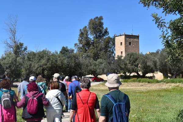 Alicante proyecta un gran parque agrario de 123 hectáreas en La Condomina con el nuevo PGE